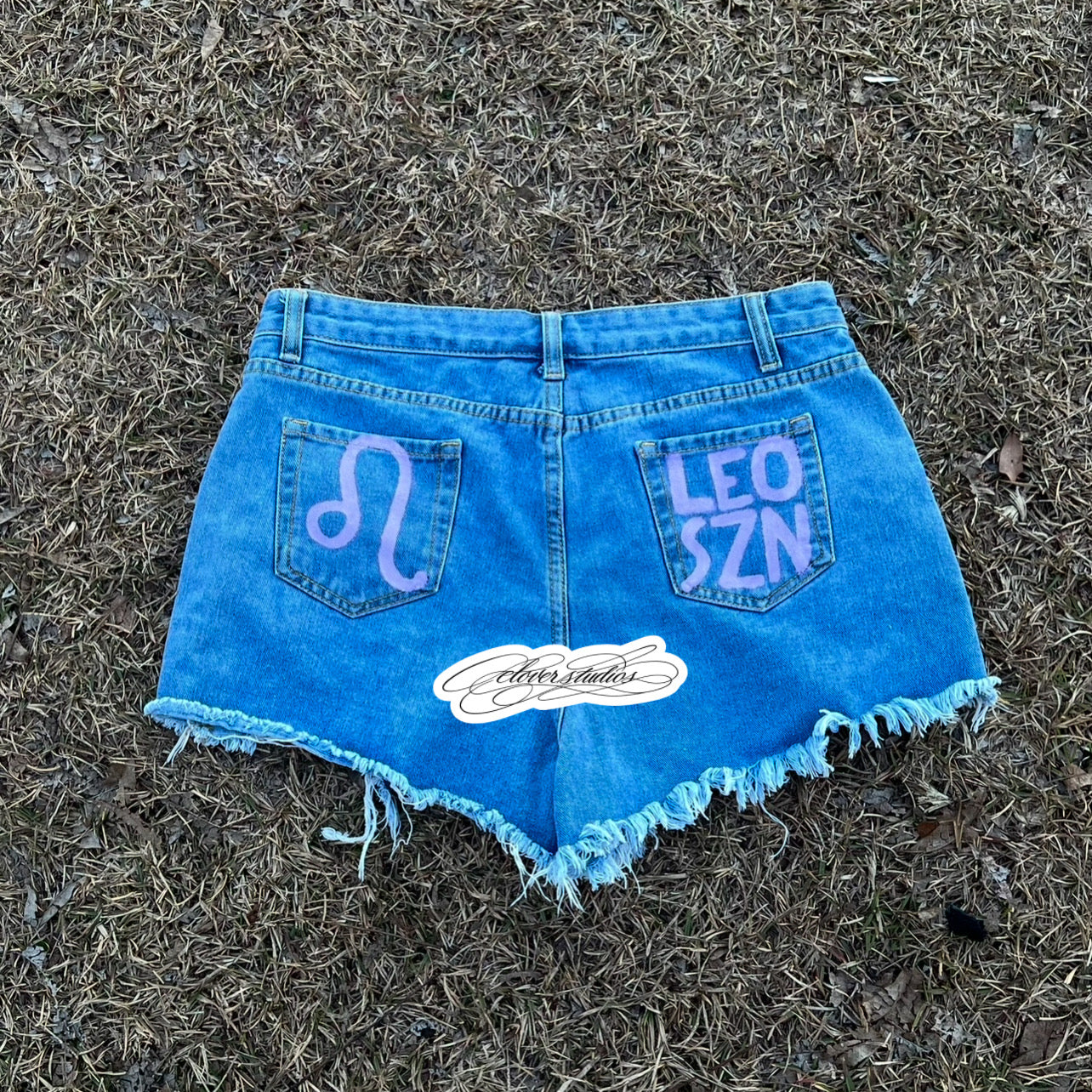 Custom painted pants/shorts